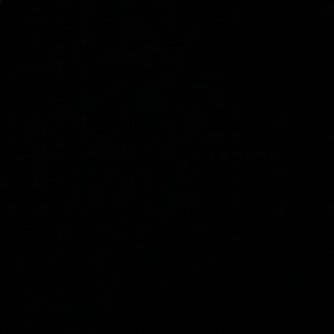 Meet your Posher, Nicolai